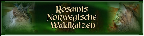 Banner Rosamis